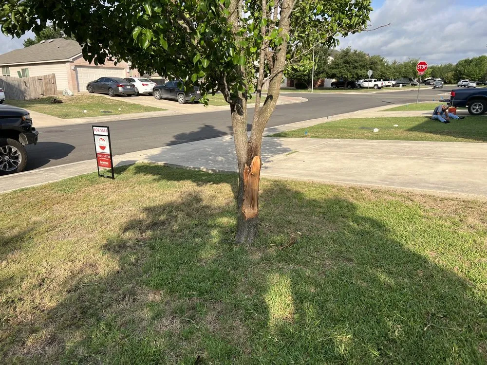 Trusted yard cleanup service for outdoor upgrades in Kyle, TX by Turf Tech Lawn Repair