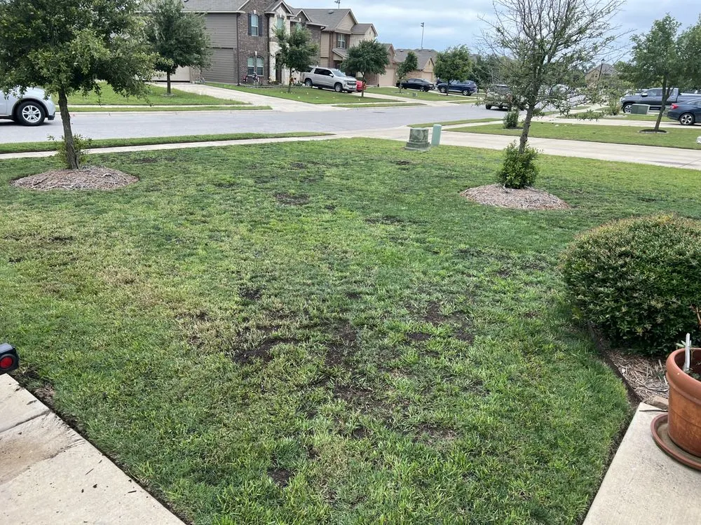 Custom yard cleanup service experts serving Kyle, TX - Turf Tech Lawn Repair