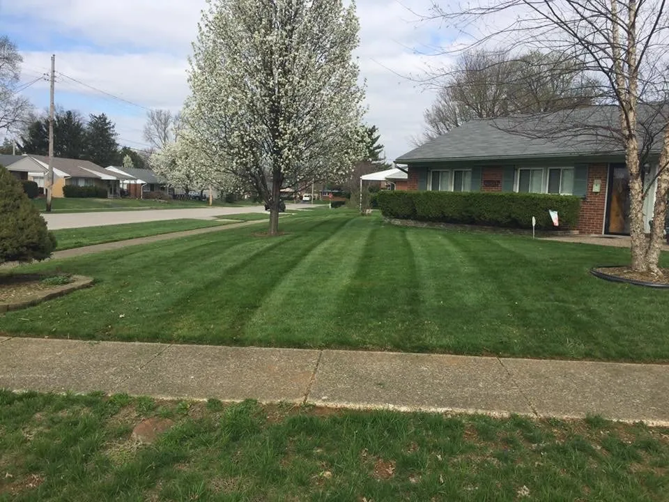 Reliable yard cleanup service for homes across Louisville, KY - Turf Tech