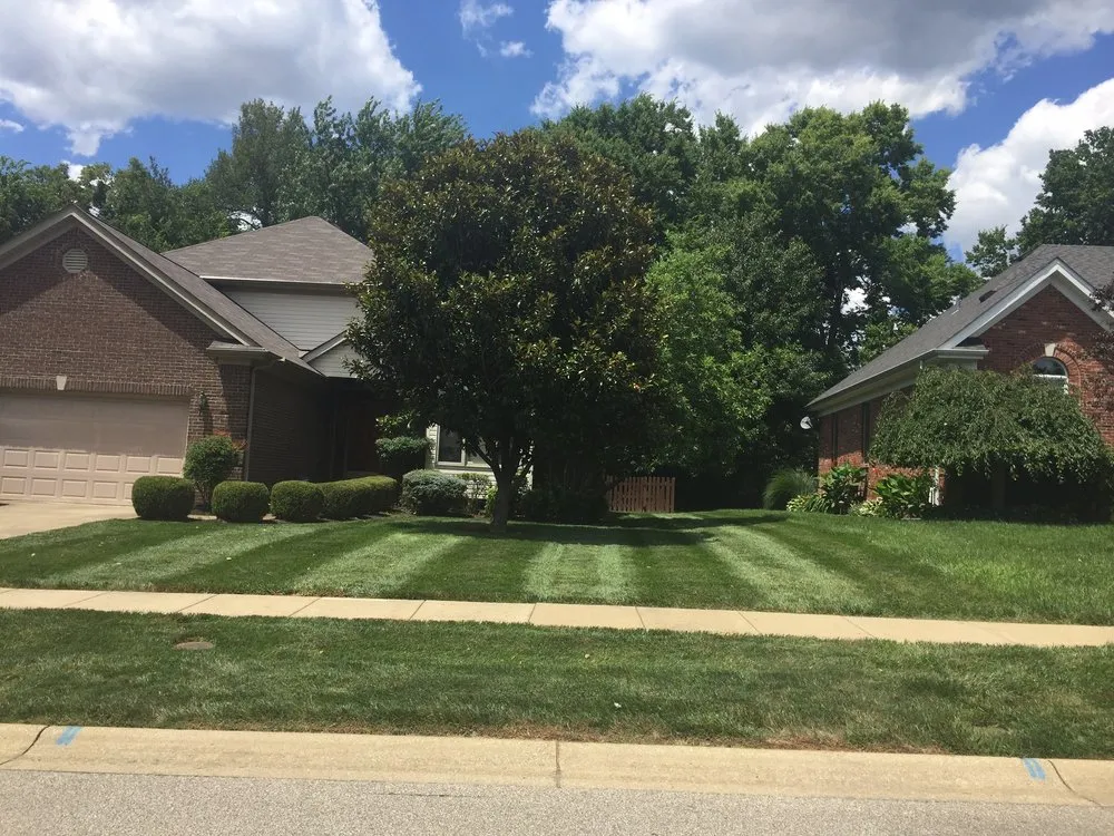 Affordable lawn care service for year-round maintenance in Louisville, KY by Turf Tech