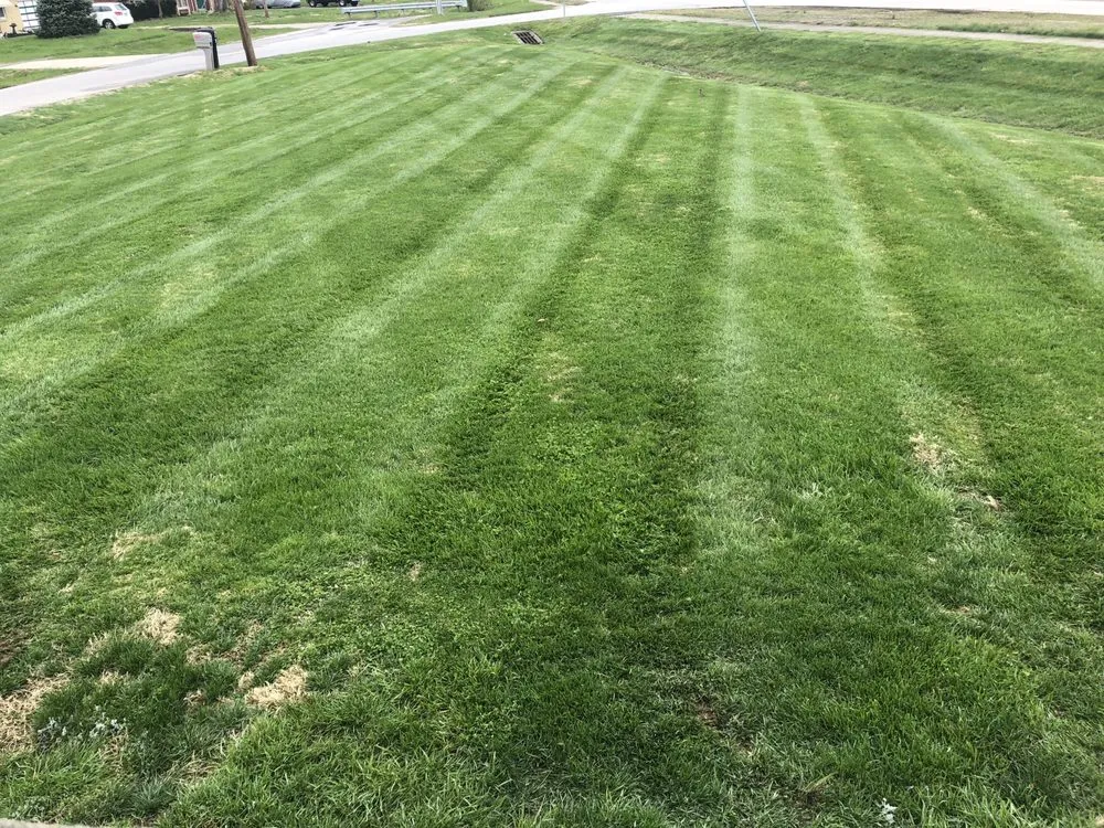 Trusted garden landscaping experts serving Louisville, KY - Turf Tech