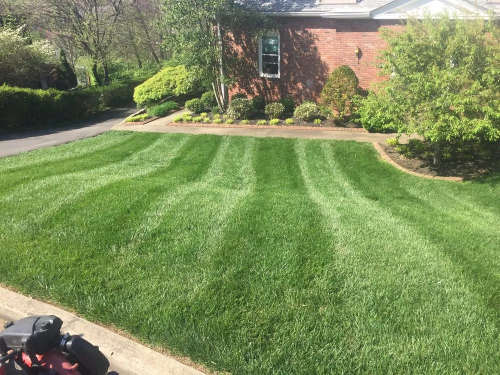Affordable yard cleanup service for residential properties in Louisville, KY by Turf Tech
