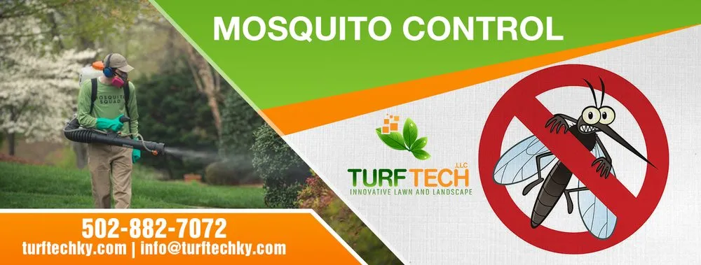 Reliable yard cleanup service in Louisville, KY by Turf Tech