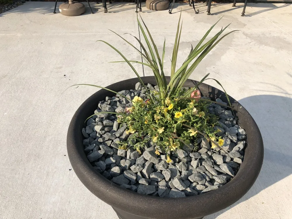 Affordable landscaping services in Louisville, KY - Turf Tech