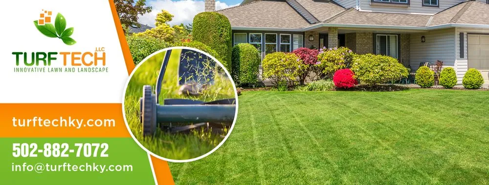 Reliable yard cleanup service for outdoor upgrades in Louisville, KY by Turf Tech
