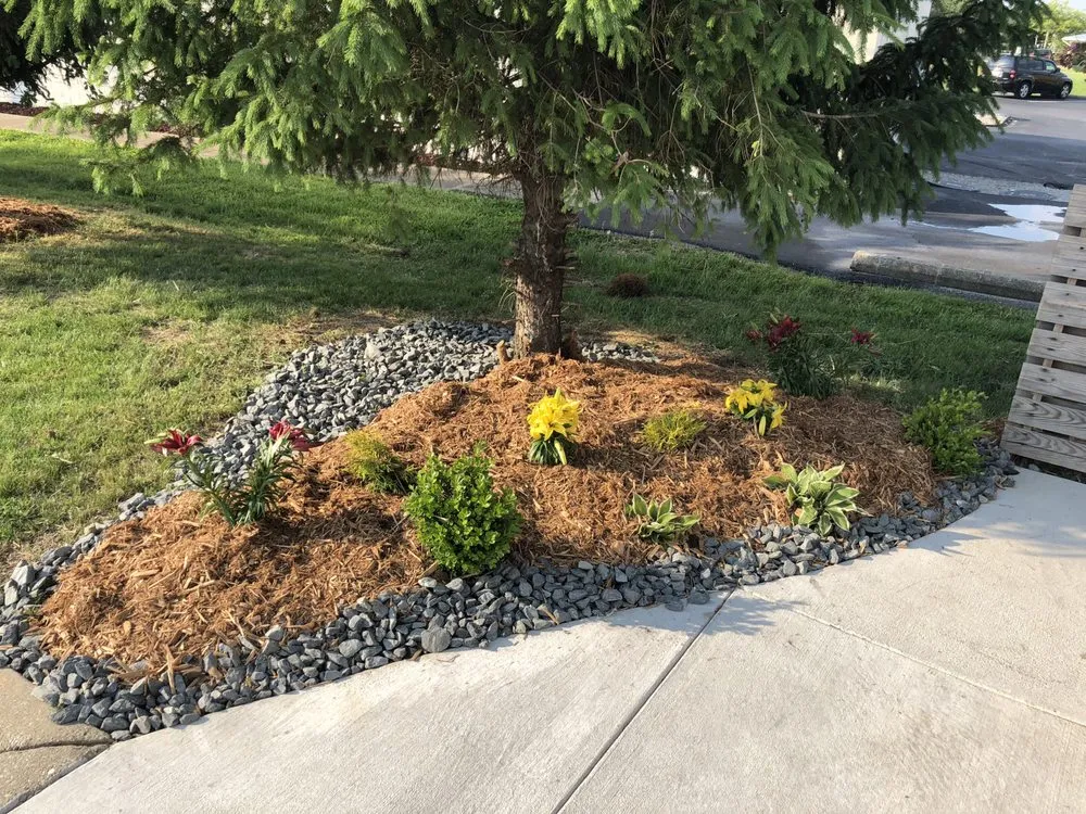 Affordable lawn mowing service in Louisville, KY - Turf Tech