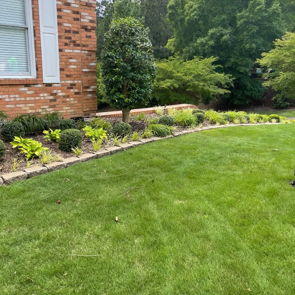 Professional yard cleanup service in McCalla, AL by Turf Tech