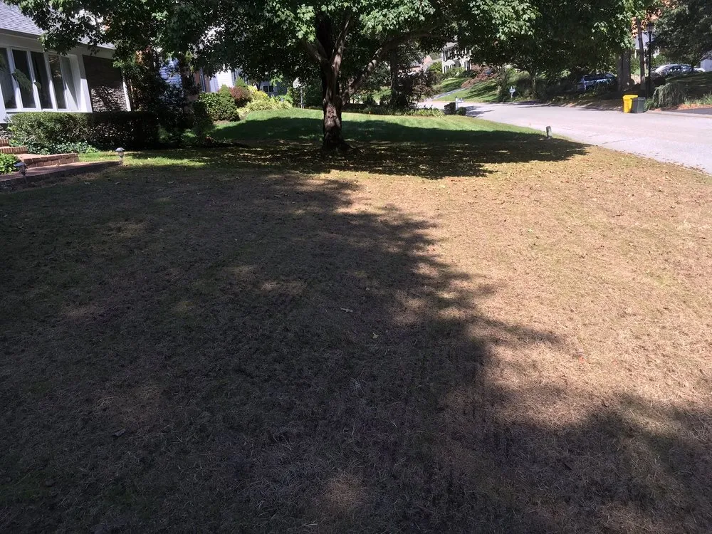 Professional outdoor landscaping in Glen Burnie, MD - Turf Tech Services