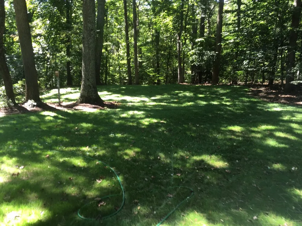 Expert lawn mowing service near you across Glen Burnie, MD - Turf Tech Services