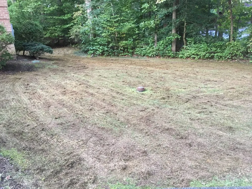 Local landscape design experts serving Glen Burnie, MD - Turf Tech Services