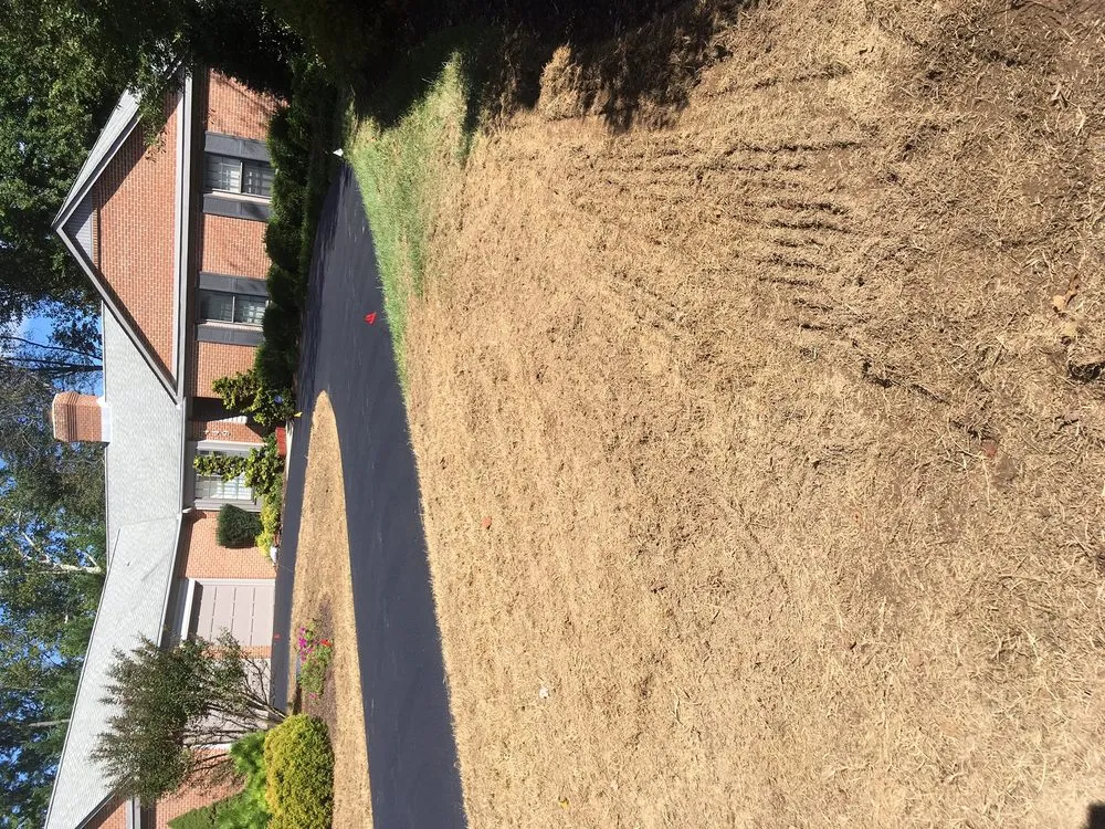 Expert outdoor landscaping for beautiful yards across Glen Burnie, MD - Turf Tech Services