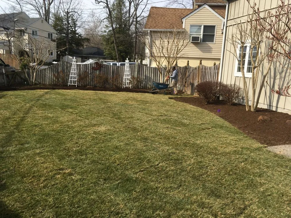 Local yard cleanup service for year-round maintenance in Glen Burnie, MD by Turf Tech Services