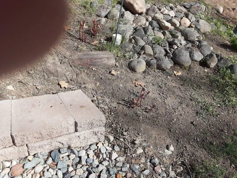 Expert outdoor landscaping experts serving Uxbridge, MA - Turf Technologies