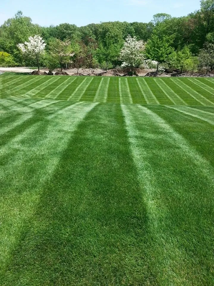 Custom landscape installation experts serving Uxbridge, MA - Turf Technologies
