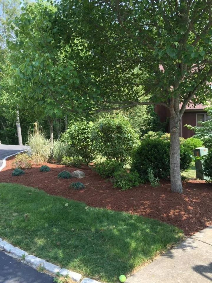 Professional residential landscaping in Uxbridge, MA - Turf Technologies