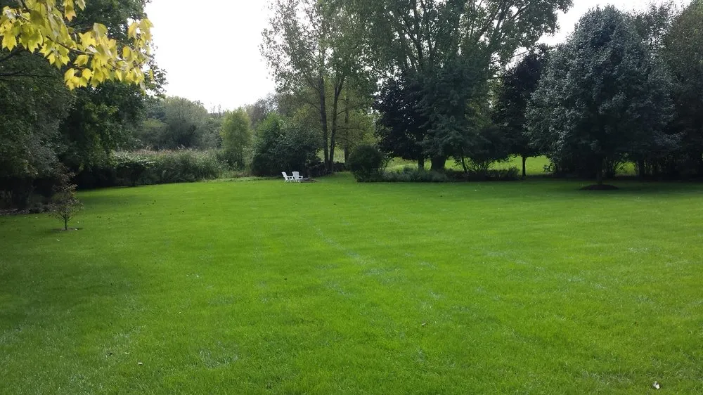 Trusted landscaping services for outdoor upgrades in Island Lake, IL by Turf Techs
