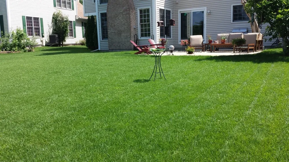 Local lawn care service experts serving Island Lake, IL - Turf Techs