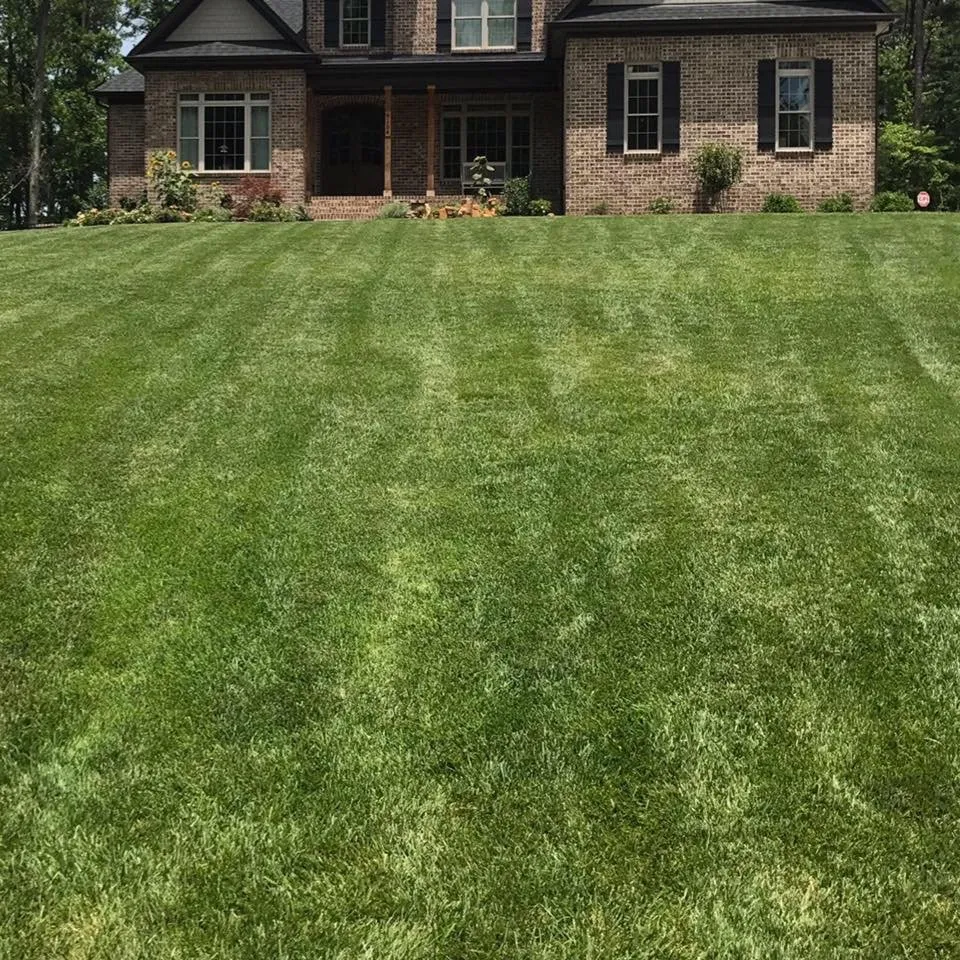 Affordable lawn care service experts serving Greensboro, NC - Turf Tek