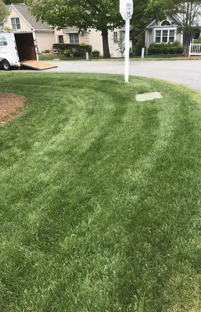 Affordable landscape design in Greensboro, NC by Turf Tek