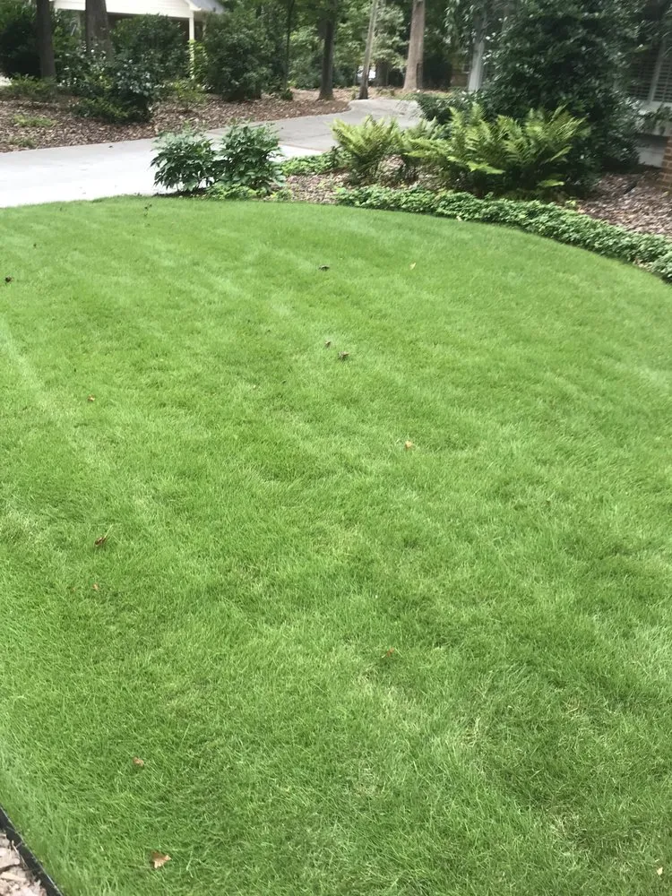 Reliable residential landscaping in Greensboro, NC - Turf Tek