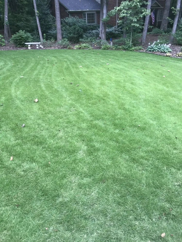 Reliable landscape installation for residential properties in Greensboro, NC by Turf Tek