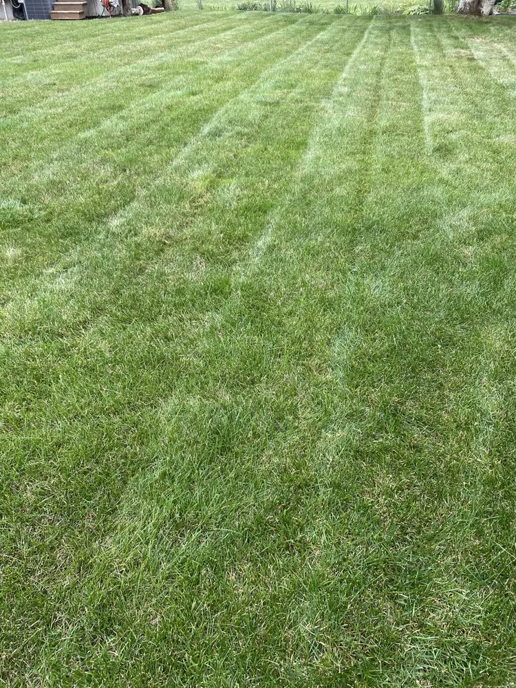 Top-rated landscape design near you in Bismarck, ND by Turf Tek Lawn Service