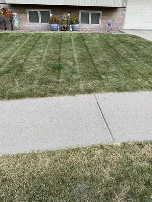 Turf Tek Lawn Service Logo