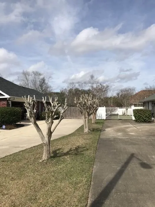 Professional yard maintenance in Cantonment, FL - Turf Tenders Lawn Service