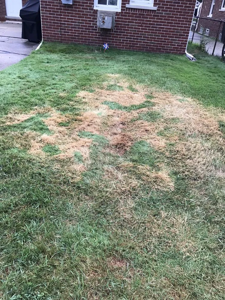 Professional lawn care service in Oak Park, MI - Turf Tenders