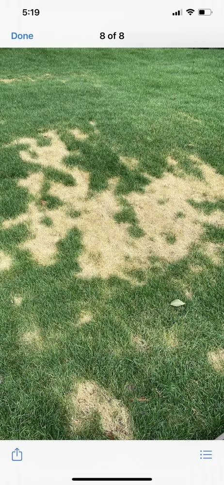 Professional landscaping services for homes in Oak Park, MI by Turf Tenders