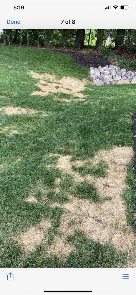 Local yard maintenance near you across Oak Park, MI - Turf Tenders