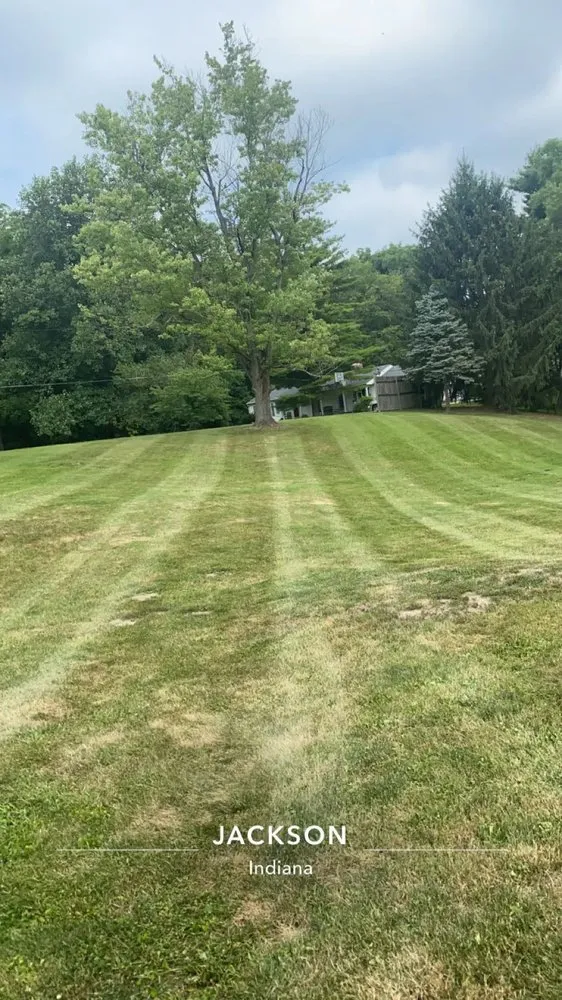 Trusted lawn mowing service for year-round maintenance in Woodlawn Heights, IN by Turf Tenders