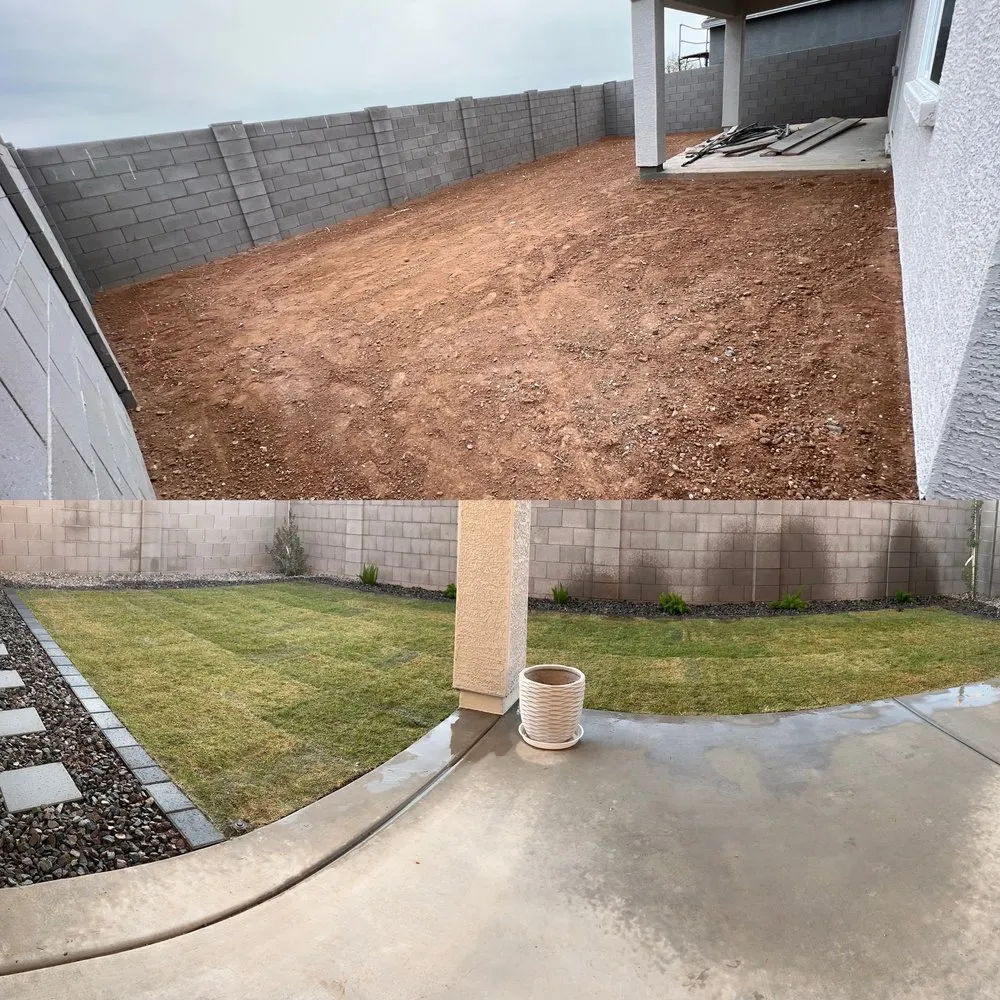 Top-rated yard cleanup service experts serving Mesa, AZ - Turf Time AZ