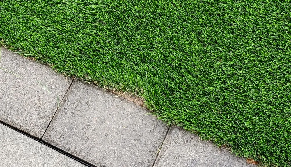 Affordable outdoor landscaping in Mesa, AZ by Turf Time AZ