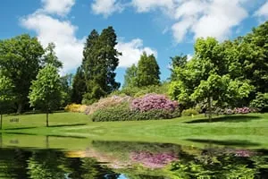 Professional lawn mowing service for beautiful yards across Monroe, GA - Turf Time