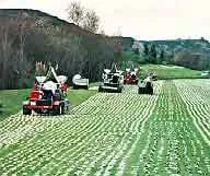 Custom landscaping services in Dana Point, CA by Turf Time West