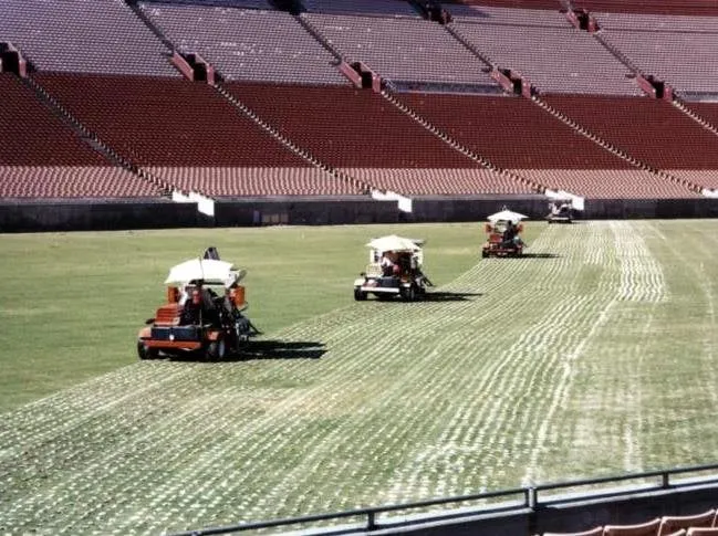 Affordable residential landscaping for outdoor upgrades in Dana Point, CA by Turf Time West