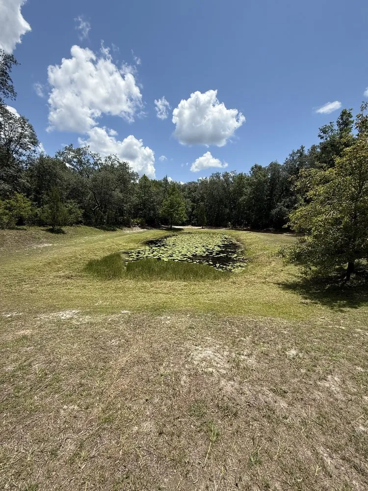 Top-rated landscape installation experts serving Lake City, FL - Turf Titan