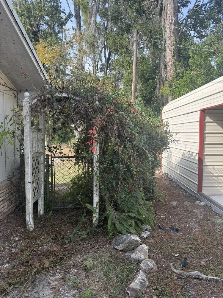 Professional garden landscaping in Lake City, FL by Turf Titan