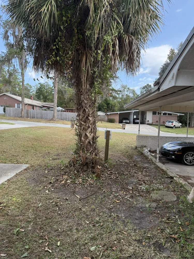 Affordable landscape design with custom design in Lake City, FL by Turf Titan