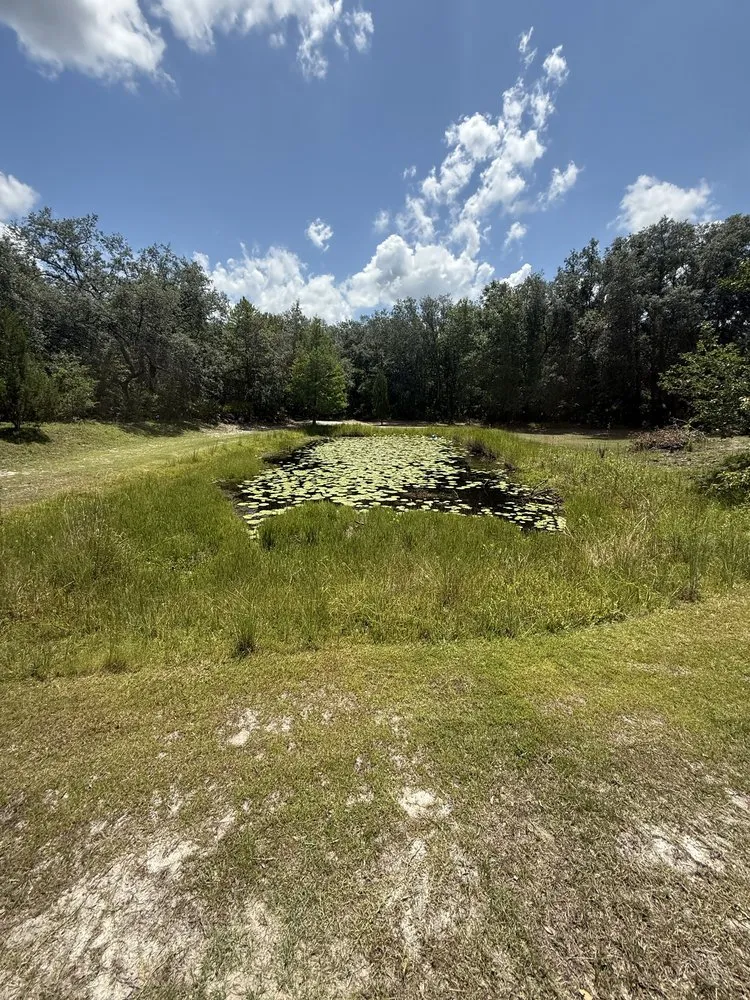 Custom landscape installation for year-round maintenance in Lake City, FL by Turf Titan
