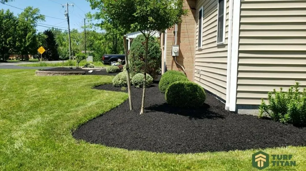 Reliable lawn mowing service for homes in North Tonawanda, NY by Turf Titan