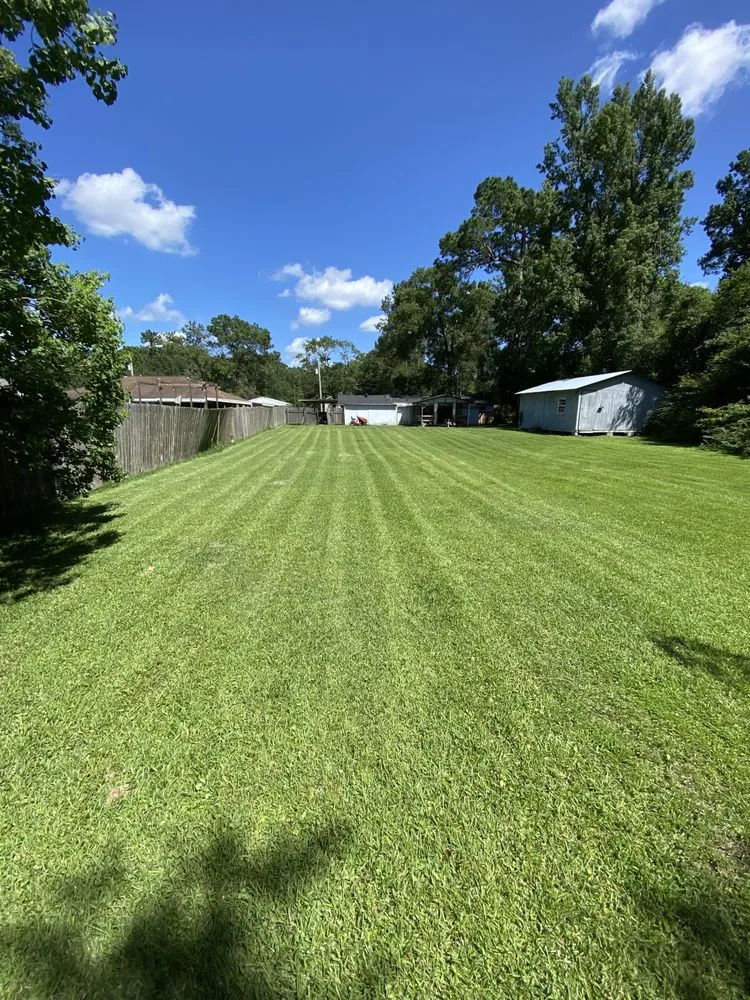 Expert landscape installation in Beaumont, TX by Turf Titans