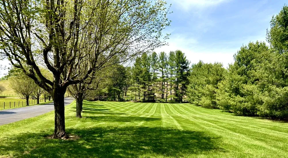 Local outdoor landscaping for beautiful yards across Bristol, TN - Turf Titans