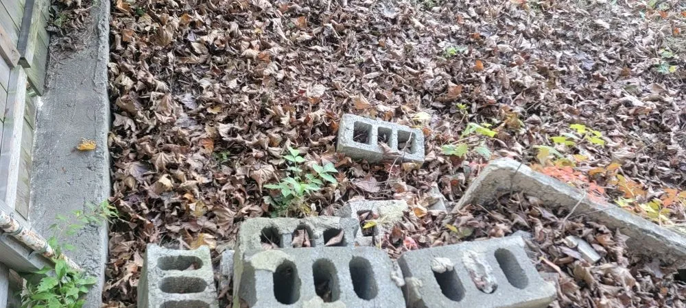 Expert landscape design in Fountain Hill, PA - Turf Titans