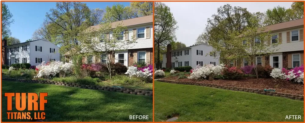 Trusted yard cleanup service experts serving Greensboro, NC - Turf Titans