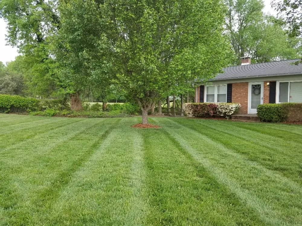 Affordable yard maintenance for beautiful yards in Greensboro, NC by Turf Titans