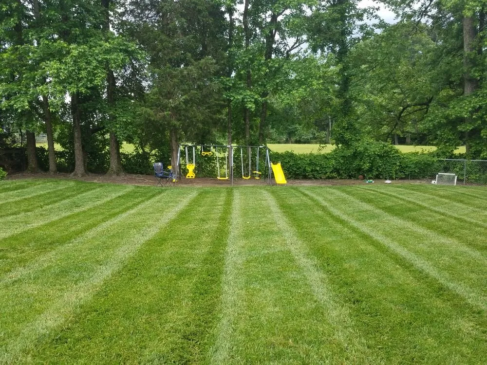 Professional lawn care service with custom design across Greensboro, NC - Turf Titans