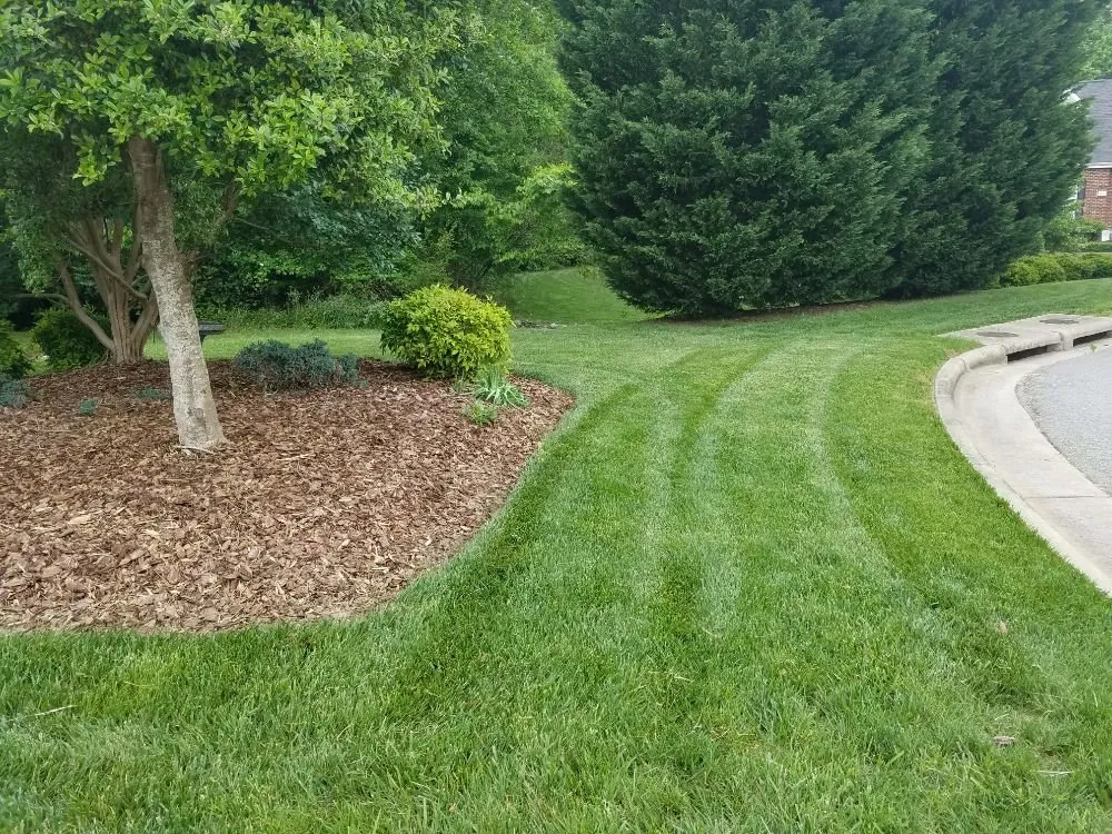 Affordable lawn mowing service in Greensboro, NC by Turf Titans