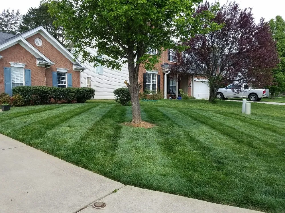 Expert landscape design for homes across Greensboro, NC - Turf Titans